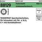 Sperrkantscheibe R 88129 NSK-K 5 Federstahl zinklamellenb. 1000St. TECKENTRUP - VPE: 1000