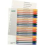 Leitz Register 12960000 A4 PP-Folie PC-beschriftbar 1-20 tr