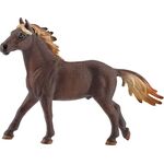 Mustang Hengst