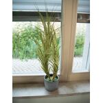 EUROPALMS Dracenabusch, mit schwarzem Topf, künstlich, 80cm