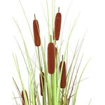 EUROPALMS Rohrkolben, Kunstpflanze, 120cm