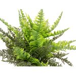 EUROPALMS Farnbusch im Dekotopf, Kunstpflanze, 51 Blätter, 48cm