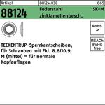 Sperrkantscheibe R 88124 M4x10,2x1 Federstahl zinklamellenb. 1000St. TECKENTRUP - VPE: 1000