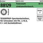Sperrkantscheibe R 88129 K 12x24,25x1,6 Federst. zinklamellenb. 100St TECKENTRUP - VPE: 100