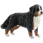 Berner Sennenhündin