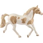 HC Paint Horse Stute