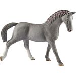 HC Trakehner Stute