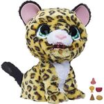 FRF Lolly, meine Leopardin