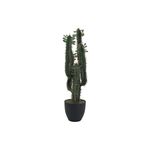EUROPALMS Mexikanischer Kaktus mit Blättern, 75cm