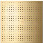 Kopfbrause 300/300 2jet AXOR Montage Decke-Aufputz brushed gold optic