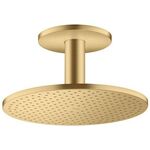 Kopfbrause 300 1jet AXOR Deckenmontage brushed gold optic