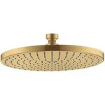 Tellerkopfbrause 240 1jet AXOR STARCK DN 15 brushed gold optic