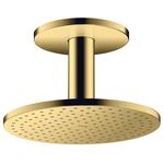 Kopfbrause 250 2jet AXOR Deckenmontage polished gold optic