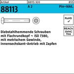 Schraube R 88113 diebstahlh. Innen-6kt Zapfen M3x 6 A 2 100 Stück - VPE: 100