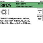 Sperrkantscheibe R 88125 B 12x32,3x2,8 Federst. zinklamellenb. 100St. TECKENTRUP - VPE: 100