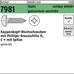 Kappenkopfblechschraube R 88981 PH 3,9x13-H Stahl galv.verz. 1000St. - VPE: 1000