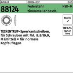 Sperrkantscheibe R 88124 NSK-M 8 Federstahl zinklamellenb. 1000St. TECKENTRUP - VPE: 1000