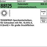 Sperrkantscheibe R 88125 NSK-B 12 Federstahl zinklamellenb. 500St. TECKENTRUP - VPE: 500