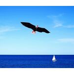 Drachen, Einleiner, Kite für Kind und Erwachsene *Adler 3D* inkl. 30m Leine, 200x70cm