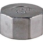 Kappe EN 10226-1 NPS=1 Zoll 8-kant L 22mm SPRINGER - VPE: 10