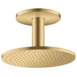 Kopfbrause 250 2jet AXOR Deckenmontage brushed gold optic