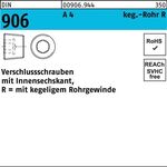 Verschlußschraube DIN 906 Innen-6kt R 1 A 4 1 Stück