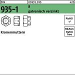Kronenmutter DIN 935-1 M48 8 galv.verz. 1 Stück