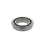 Rillenkugellager 6006 NR ID 30mm AD 55mm Breite13mm 1St./VE NACHI