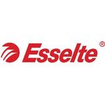Esselte Ringbuch Präsentation 4Ri 49704 DIN A4 40mm ws