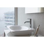 Duravit Lichtspiegel XVIU Icon-Version 800x1420x40mm 72 W Prof Cha