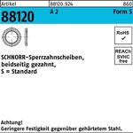 Sperrzahnscheibe R 88120 beids.gez. S10x16x1 A 2 200 Stück SCHNORR - VPE: 200
