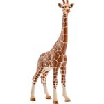 Giraffenkuh
