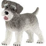 Zwergschnauzer