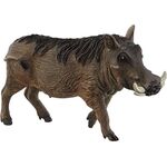 Warzenschwein