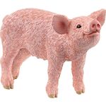 Ferkel