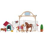 Horse Club Hannahs Gastpferde mit Hündin