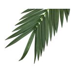 EUROPALMS Kokos-Königspalmwedel, künstlich, 210cm