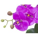 EUROPALMS Orchideen-Arrangement 4, künstlich