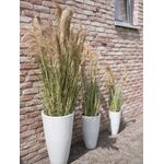 EUROPALMS Chinaschilf Gracillimus, künstlich, 110cm