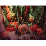 EUROPALMS Halloween Kürbis im Spinnennetz, 25cm