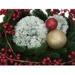 EUROPALMS Pinienkugel, beflockt, 15cm