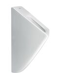Duravit Absaug-Urinal VIU rim. Zul von hinten mit Fliege weiß WG