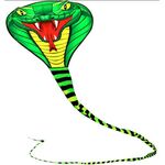 Bdt Drachen, Einleiner, Kite für Kind und Erwachsene *Schlange* inkl. 30m Leine, 70x80cm mit 8m Länge