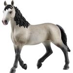 Cheval de Selle Francais Stute
