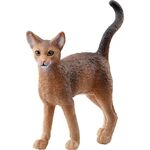 Abessinierkatze