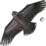 Bdt Drachen, Einleiner, Kite für Kind und Erwachsene *Adler* inkl. 50m Leine, 180x85cm