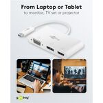 USB-C™ Multiport-Adapter auf VGA, DisplayPort™, HDMI™- VPE: 1