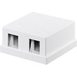 Keystone-Leergehäuse 2-port- VPE: 1