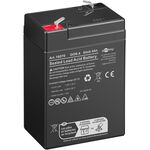Blei Akku (4000 mAh, 6 V)- VPE: 1
