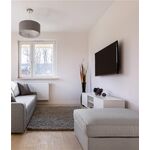 TV-Wandhalterung Basic TILT (Größe S)- VPE: 1